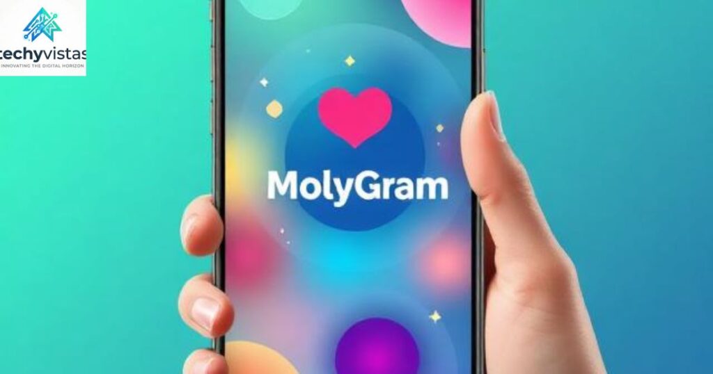 Key Features of MollyGram Instagram Viewer