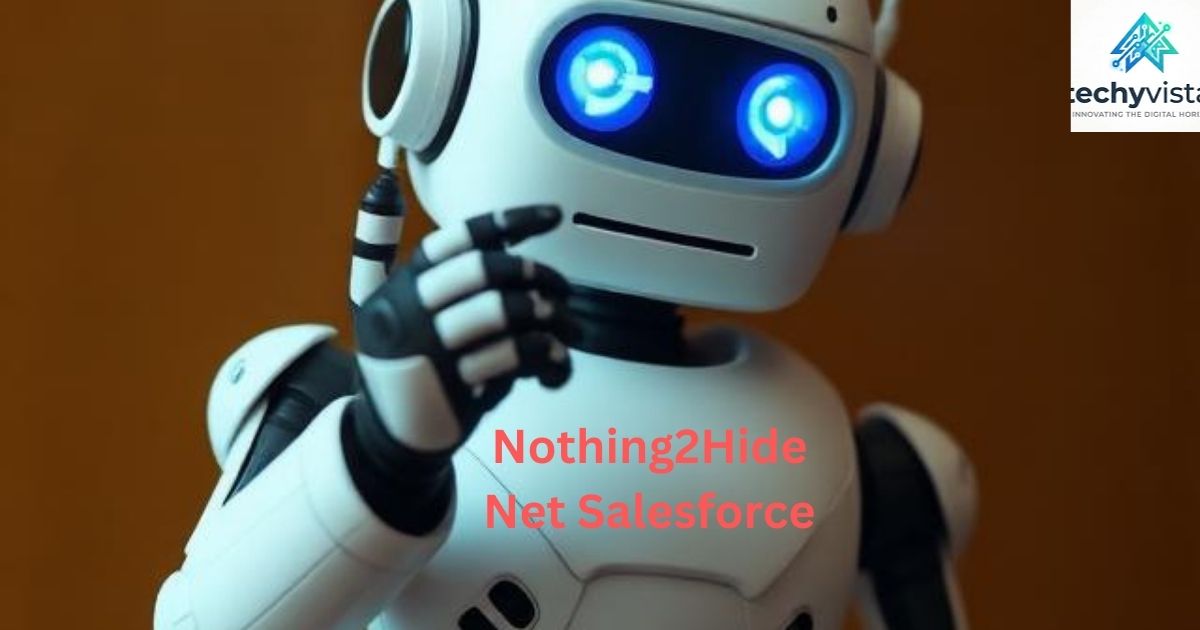 Nothing2Hide Net Salesforce: A Secure Approach to Modern CRM for U.S. Businesses